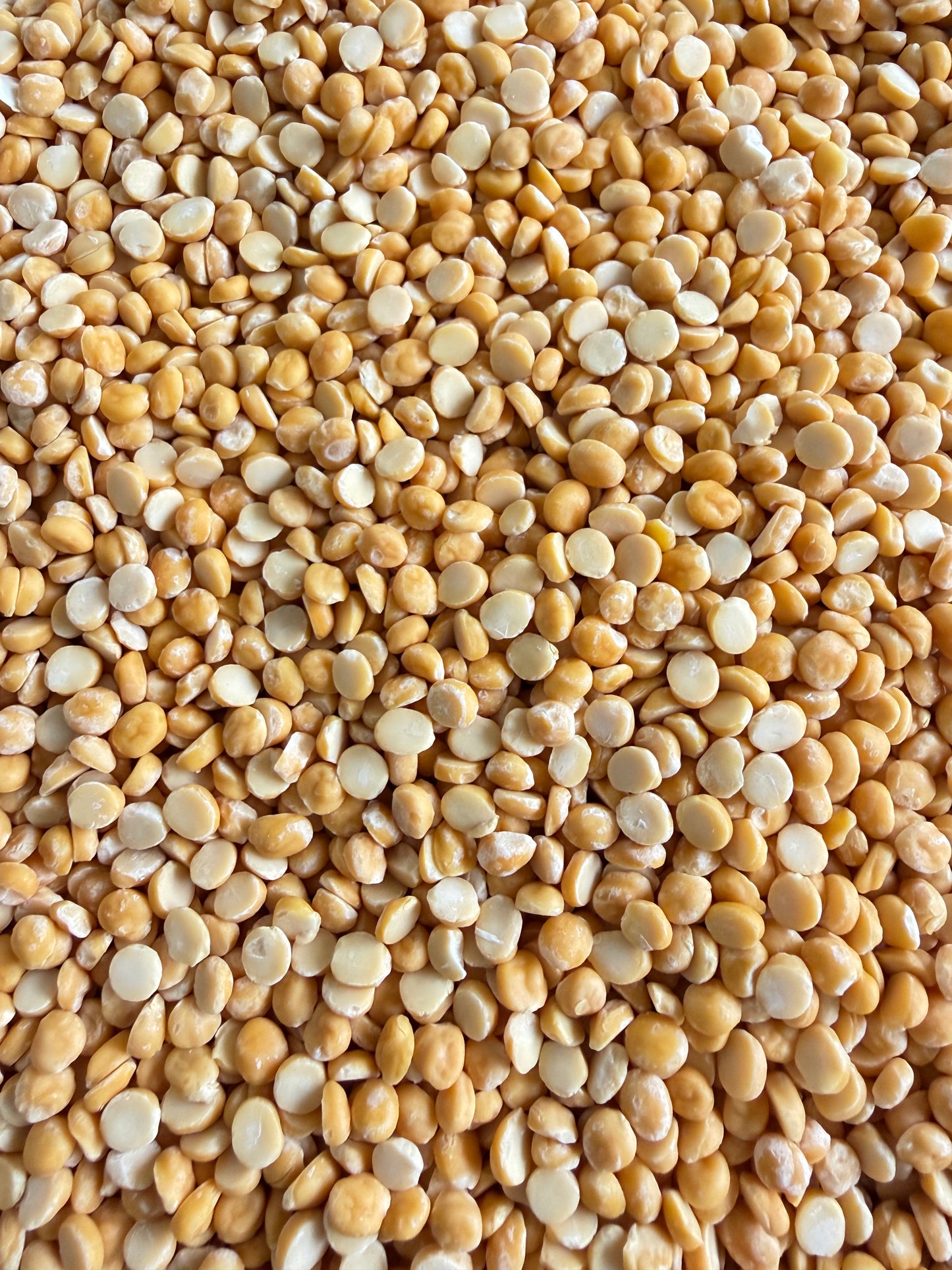 Chana Dal