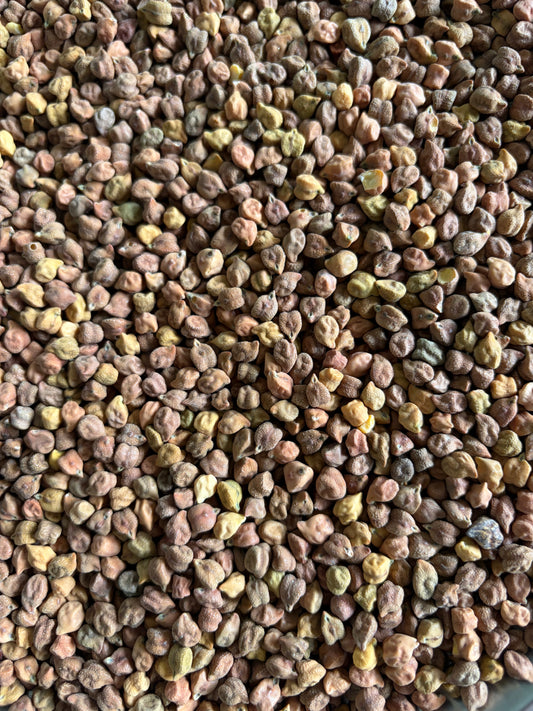 Chana