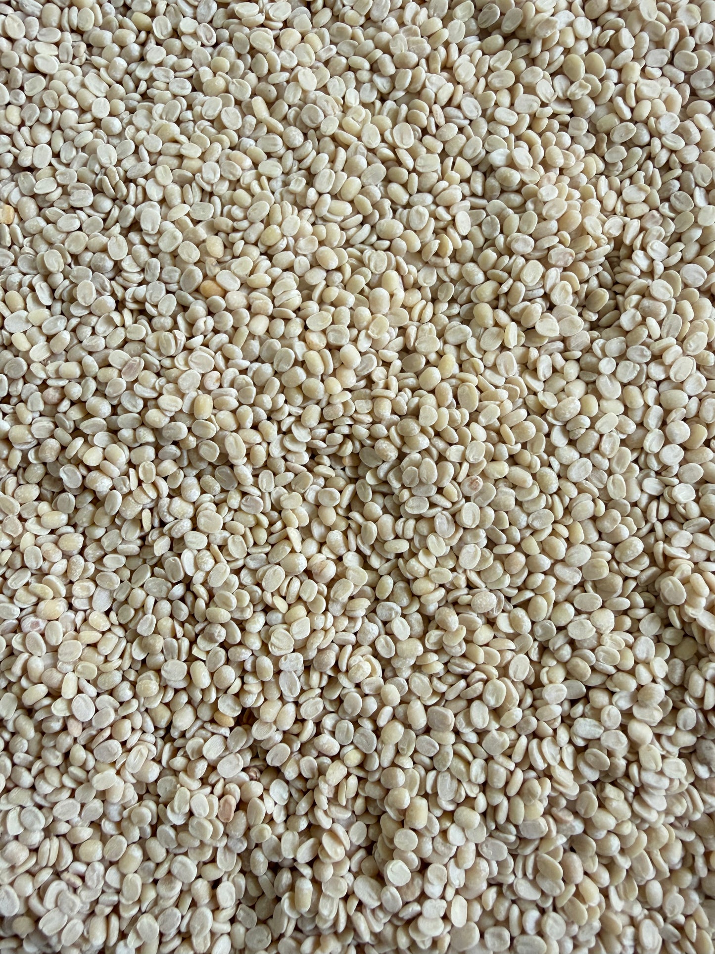 White Urad Dal